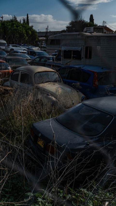 Coches abandonados cubiertos de maleza bajo un cielo nublado