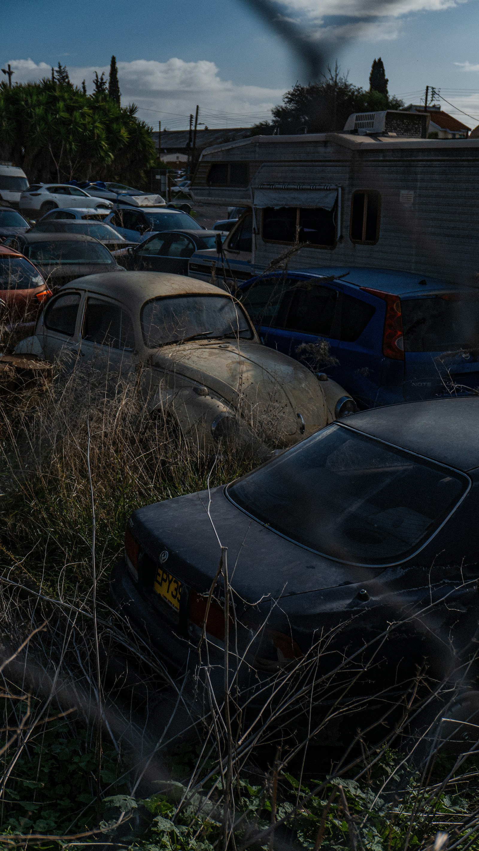 Coches abandonados cubiertos de maleza bajo un cielo nublado