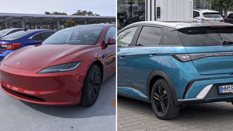 Tesla Model 3 y BYD Dolphin uno junto al otro, en una imagen dividida en dos mitades